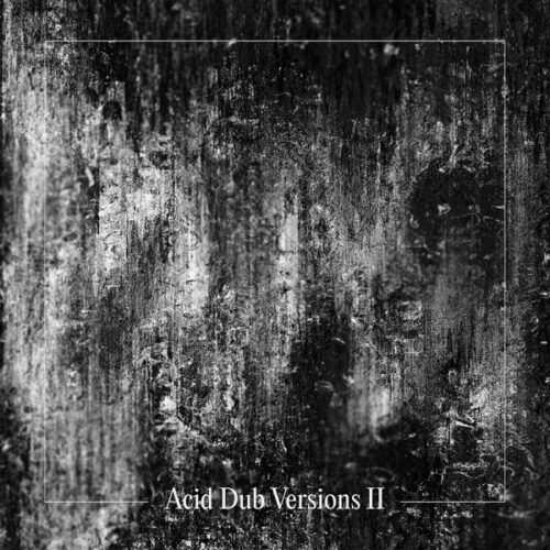 Om Unit - Acid Dub Versions II (Hodge