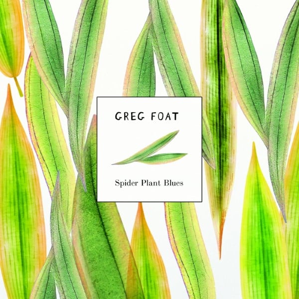 Greg Foat - Spider Plant Blues - AM1566040 - AMERITZ MUSIC