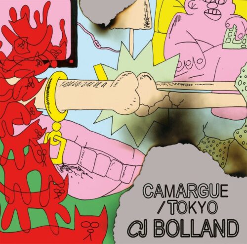 CJ Bolland - Camargue / Tokyo - STR12-084 - STROOM