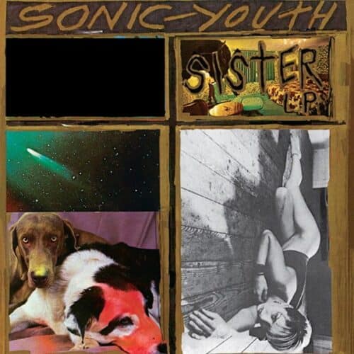 Sonic Youth - Sister - GOO020LP - GOOFIN