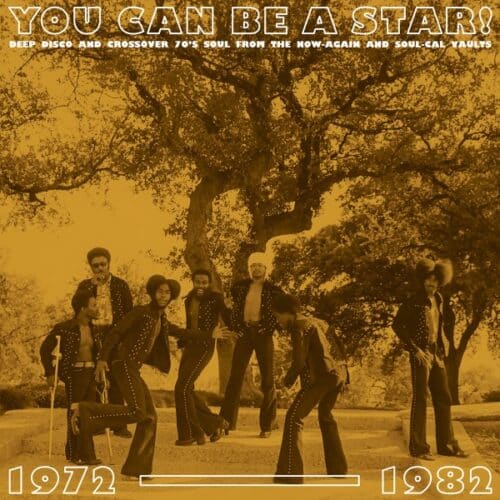 Various - You Can Be A Star!: Deep Disco & Soul 1972-82 - NA5282LP - NOW AGAIN