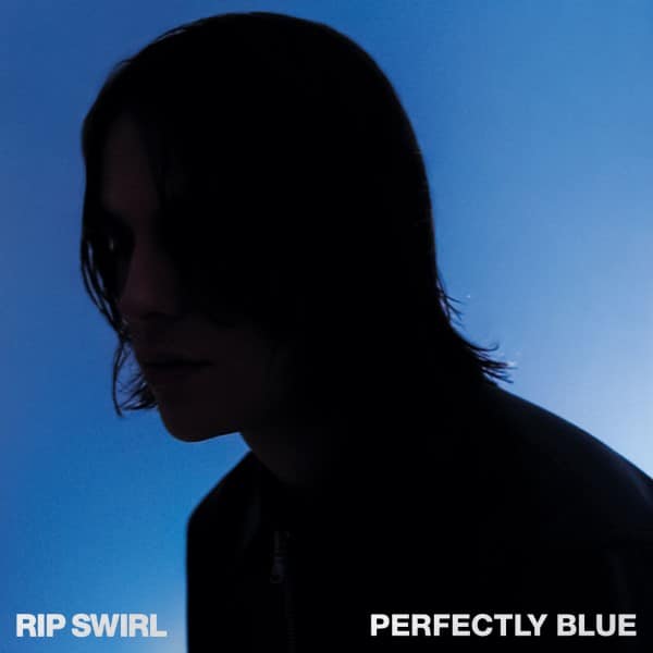 RIP Swirl - Perfectly Blue (LP) - PP107 - PUBLIC POSSESSION