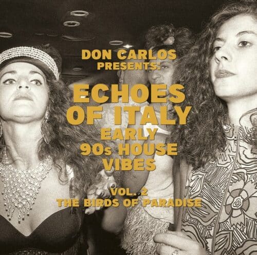 Various/Don Carlos - Echoes Of Italy - The Birds Of Paradise - Early 90s House Vibes Vol. 2 Compiled By Don Carlos - JF002LP - JUNGLE FANTASY