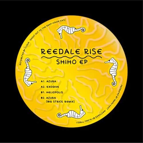 Reedale Rise - Shiho EP (Big Strick Remix) - LC2097-006 - LOST CONTROL