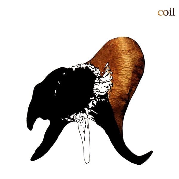 Coil - Black Antlers - DAIS189 - DAIS