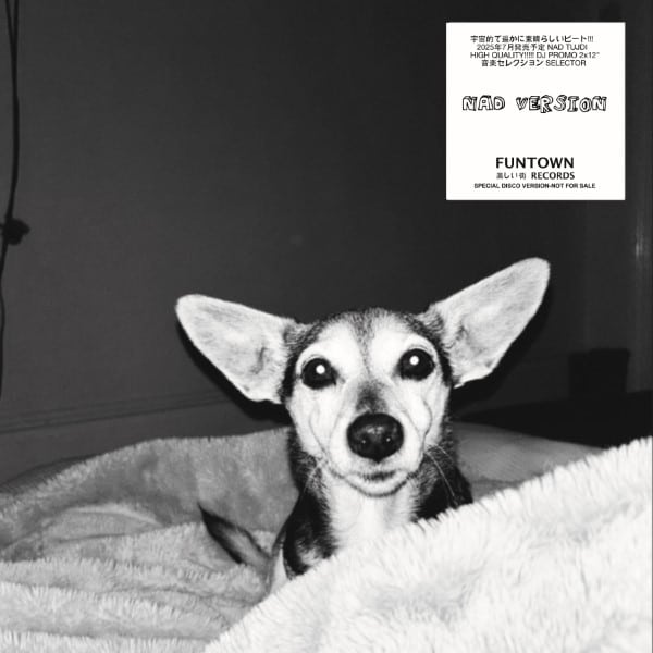 Funtown - NAD Versions - FUNTOWNPR66 - FUNTOWN RECORDS