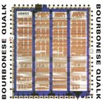 Bourbonese Qualk - My Government Is My Soul - MNQ155 - MANNEQUIN RECORDS