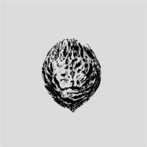 Black Lips - Bebop Armageddon (Detours & Offcuts From Seasons of … ) - FIRELP808 - FIRE RECORDS