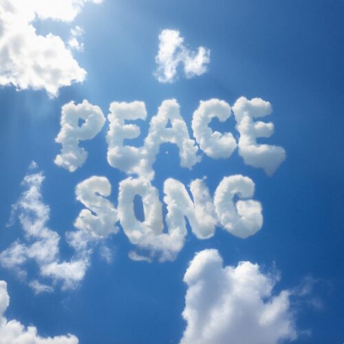 Fat Dog - Peace Song - RUG1487T - DOMINO
