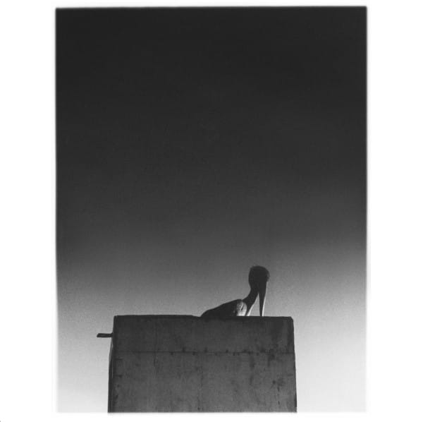 Mika Vainio/Ø - Sysivalo - SAHKO-037 - SÄHKÖ