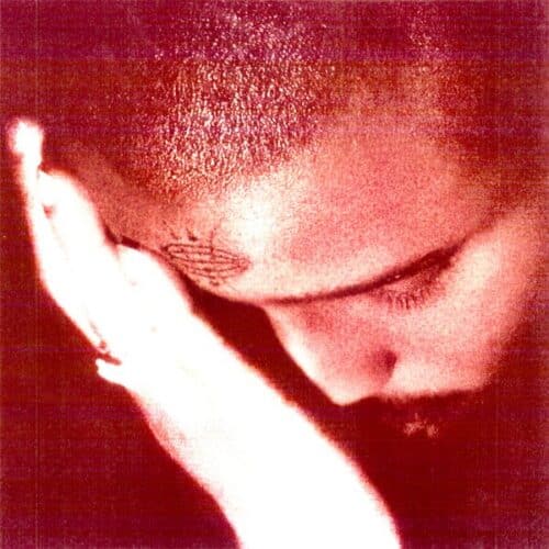 Nourished By Time - The Passionate Ones - XL1551LP - XL RECORDINGS
