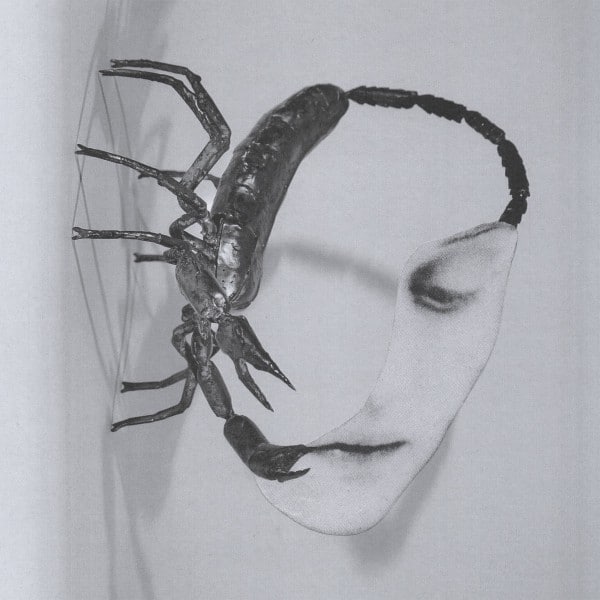 Tortoise - Touch - IARC0099LP - INTERNATIONAL ANTHEM