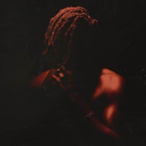 Flying Lotus - Spirit Box - WAP501 - WARP