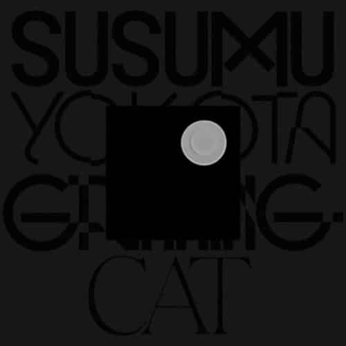 Susumu Yokota - Grinning Cat (Skintone Edition) - LO254 - LO RECORDINGS