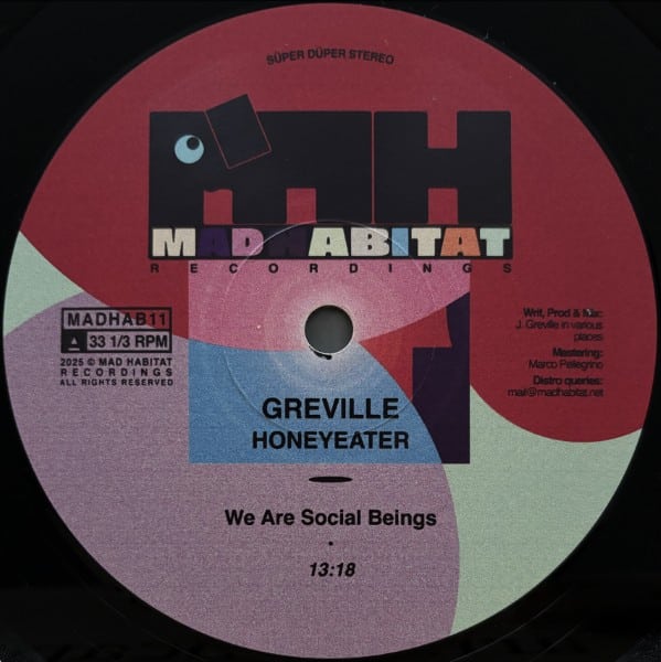 Greville - Honeyeater - MADHAB11 - MAD HABITAT