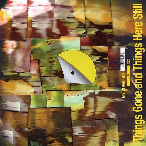 Mister Water Wet - Things Gone and Things Here Still - SODA018LP - SODA GONG