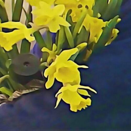 Dean Blunt/Elias Ronnenfelt - Lucre - WMG090V - WORLD MUSIC