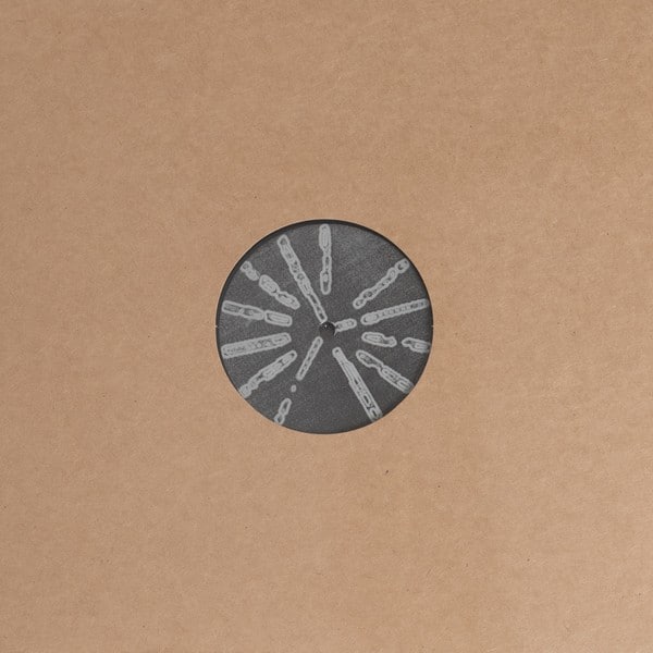 Basic Channel - Phylyps Trak 2 - BC09 - BASIC CHANNEL