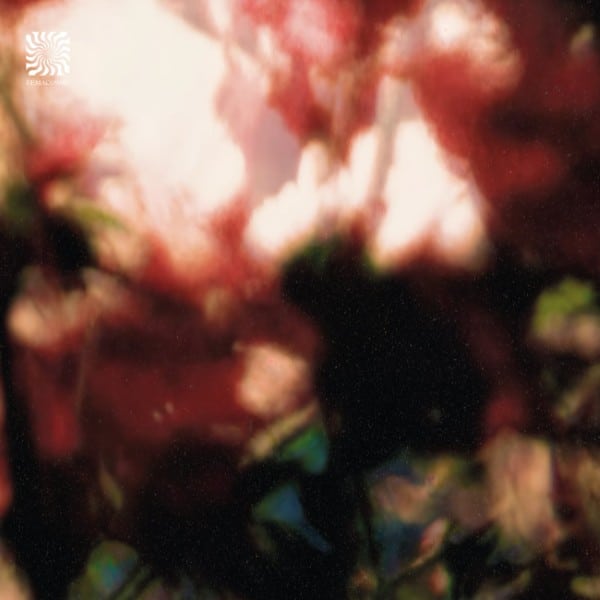 Euphonic Alliances Ltd. - Peace is it in You ? - FEMACOSME005 - FEMACOSME