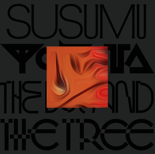Susumu Yokota - The Boy And The Tree (skintone Edition) - LO256 - LO RECORDINGS