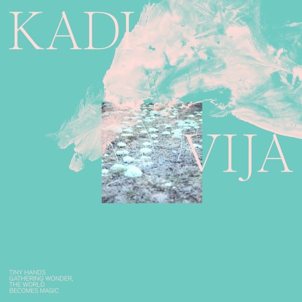 Kadi Vija - Tiny Hands Gathering Wonder