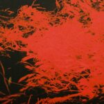 Anthony Naples - In Studio Magic - ans8000 - ANS RECORDINGS