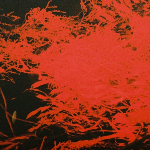 Anthony Naples - In Studio Magic - ans8000 - ANS RECORDINGS