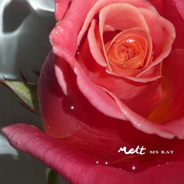 Ms Ray - Melt - SR027 - SCENIC ROUTE