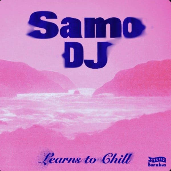 Samo Dj - Learns To Chill - BARN123 - STUDIO BARNHUS