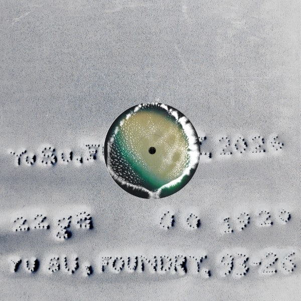 Yu Su - Foundry (orange) - SHORT10 - SHORT SPAN