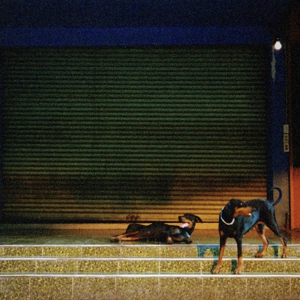 Overmono - Pure Devotion - XLLP1668 - XL RECORDINGS