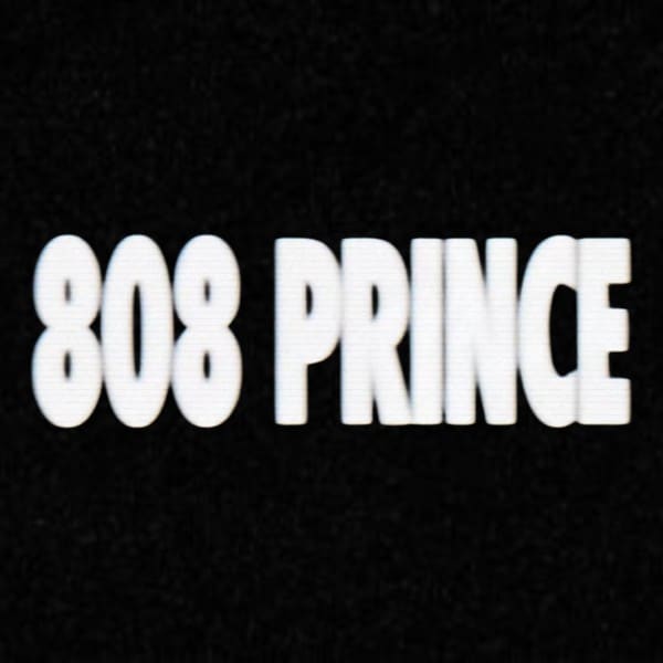 808 Prince/steven Julien - 808 Prince - APRON808LP - APRON